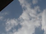 DSC00283