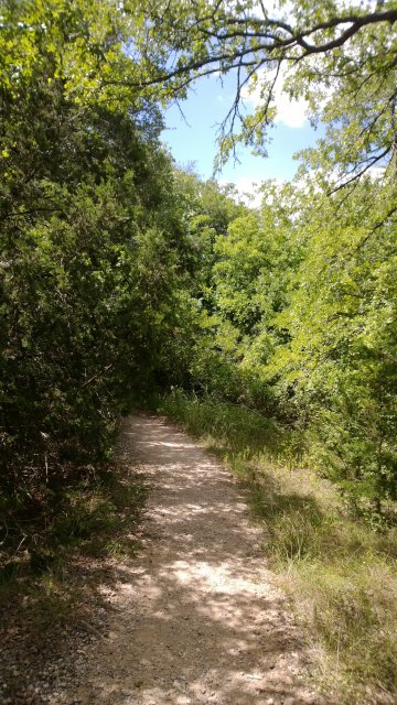 WP_20130812_15_15_17_Pro