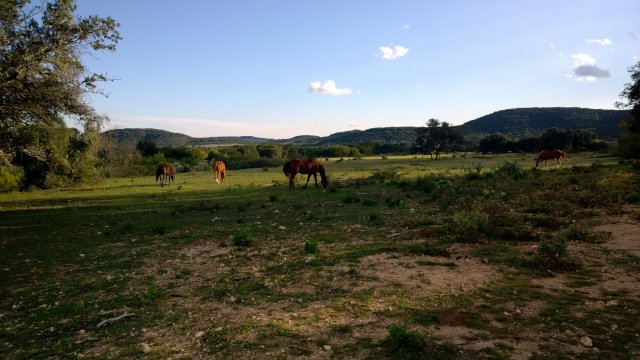 WP_20131021_17_53_50_Pro