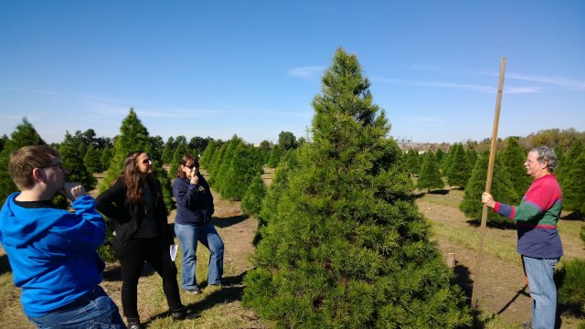 WP_20131129_13_21_52_Pro