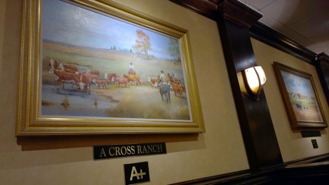 WP_20140131_09_01_35_Pro_2