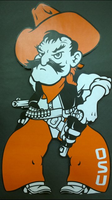 WP_20140131_15_59_15_Pro