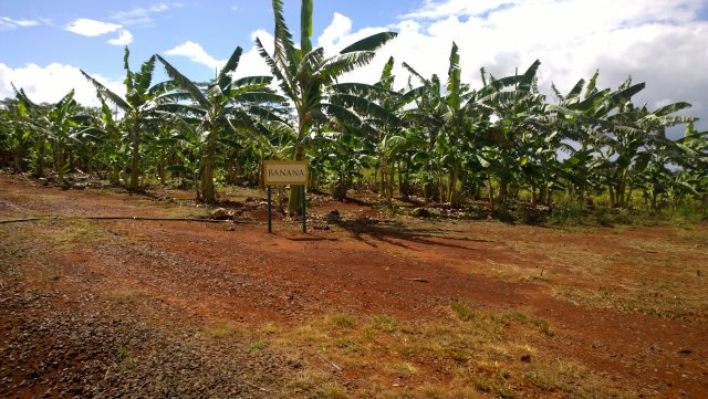 WP_20140910_10_15_23_Pro_2