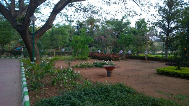 WP_20150315_18_07_37_Pro_2