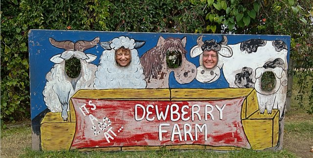 WP_20151127_13_16_20_Rich_LI_2