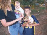 Petting Foster family pig