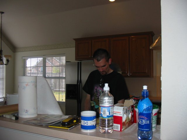 David J papering shelves